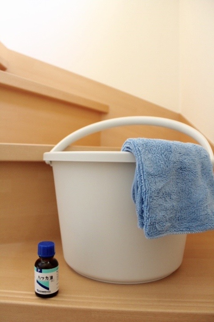 おうちも体もスッキリ♪【ハッカオイル】の活用法あれこれ | キナリノ