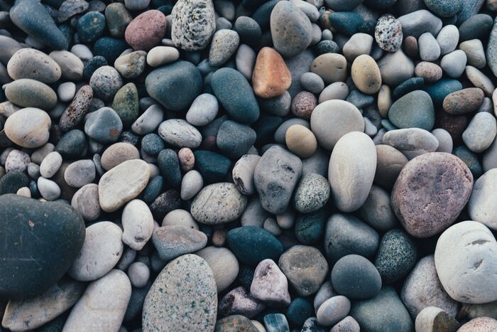 Photo by Scott Webb on Unsplash