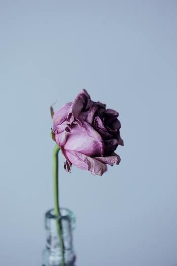 角層が薄くデリケートで乾燥しやすい目元。まばたきによる負担もかかりやすく、保湿不足になると小じわの原因になります。