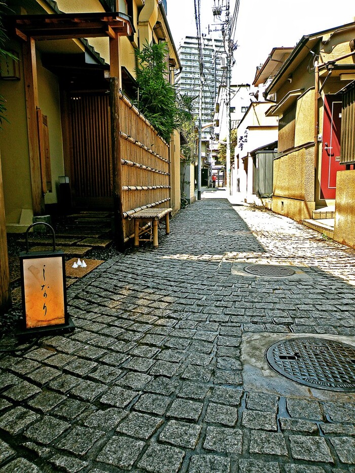 都内・坂のある町歩き～趣のある景色や小さな路地でゆったりお散歩しま 