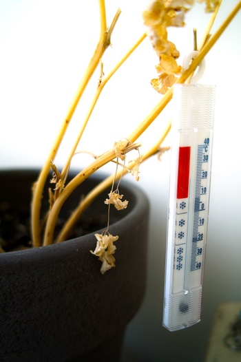 衣替え はいつする 春と秋のケア ブロガーさんの収納法やコツをcheck キナリノ