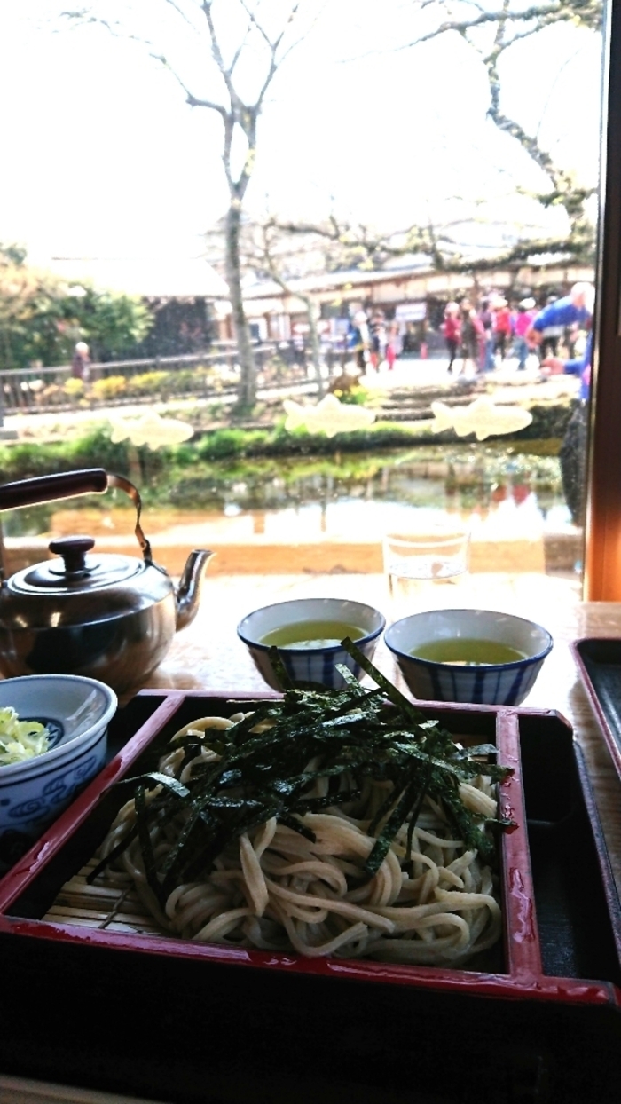 忍野 八 海 ランチ