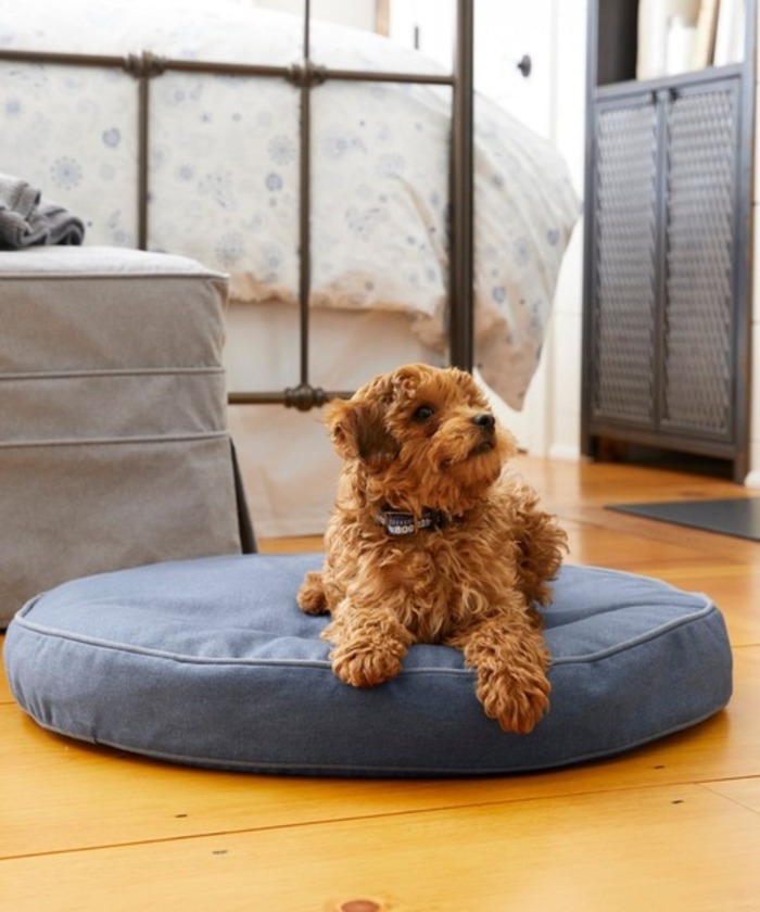 愛猫ちゃん、愛犬ちゃんに高級素材、檜の贅沢な食事台はいかがでしょ