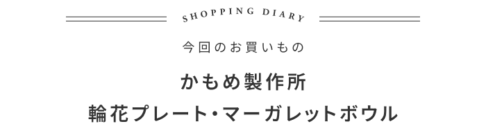 突然の「あれ食べたい!」にぴったりだったお皿の話 ―イロドリ 迫口摩季さん