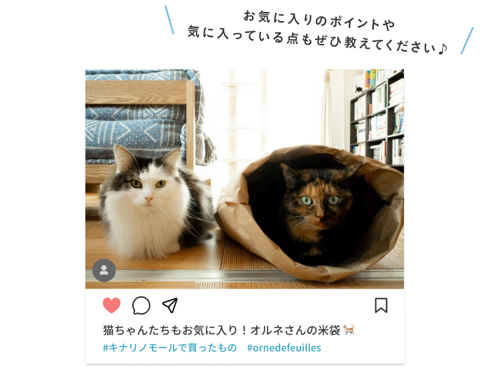 \フォトコンテスト開催/キナリノモールの購入品を撮影して、プレゼントをゲットしよう!