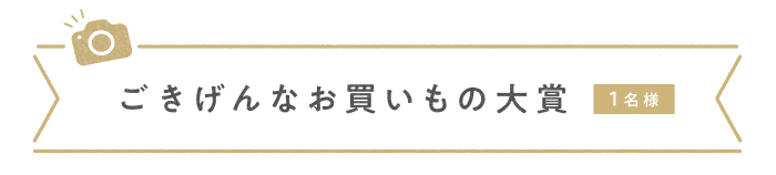\フォトコンテスト開催/キナリノモールの購入品を撮影して、プレゼントをゲットしよう!