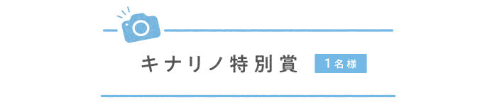 \フォトコンテスト開催/キナリノモールの購入品を撮影して、プレゼントをゲットしよう!