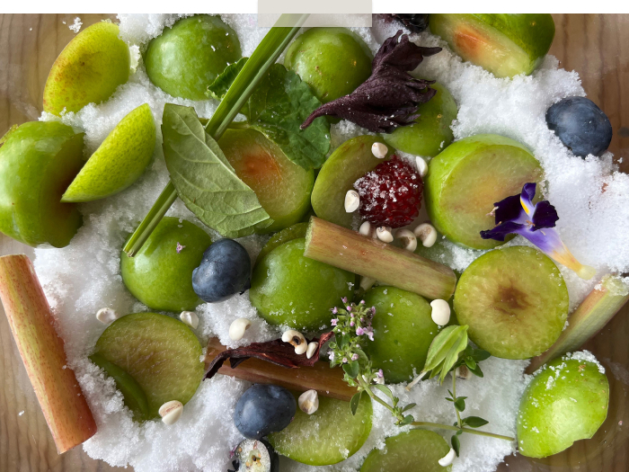 初めて酵素シロップを作った話 ―フードオーケストラ 大植亜希子さん