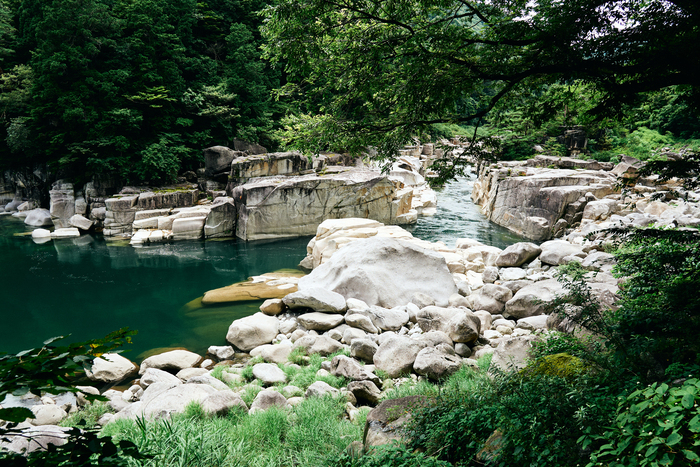 【大人のひとり列車旅】旅路を楽しむスロートリップへ