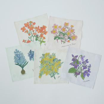 サイズ:約25×25cm