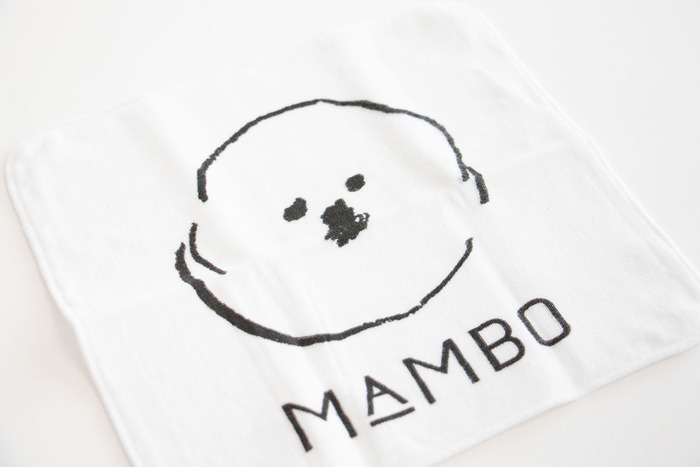 サイズ:約25×25cm