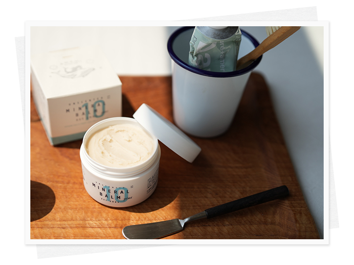 新しい季節を楽しもう◎ 秋の最新ニュース