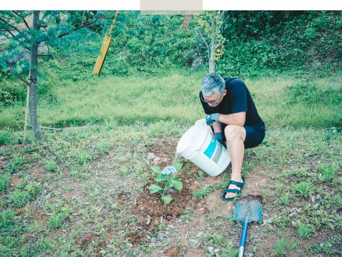 オオカミの花器と、我が家のガーデニング話 ―イロドリ 迫口摩季さん