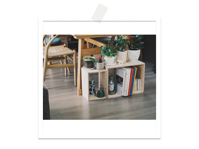 ＼受賞作品をお届け／ キナリノ フォトコンテストのご報告