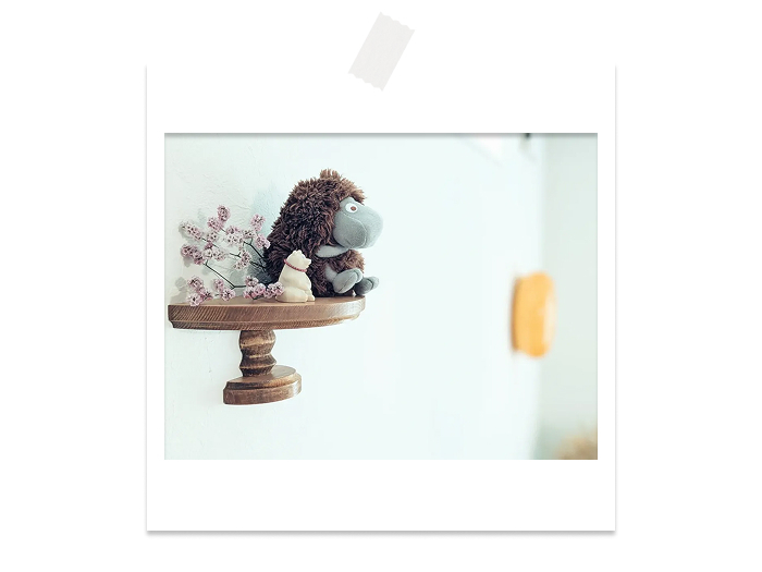 ＼受賞作品をお届け／ キナリノ フォトコンテストのご報告