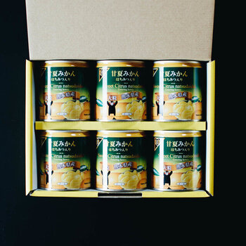 甘夏みかん 缶詰 ６缶セット／イロドリ