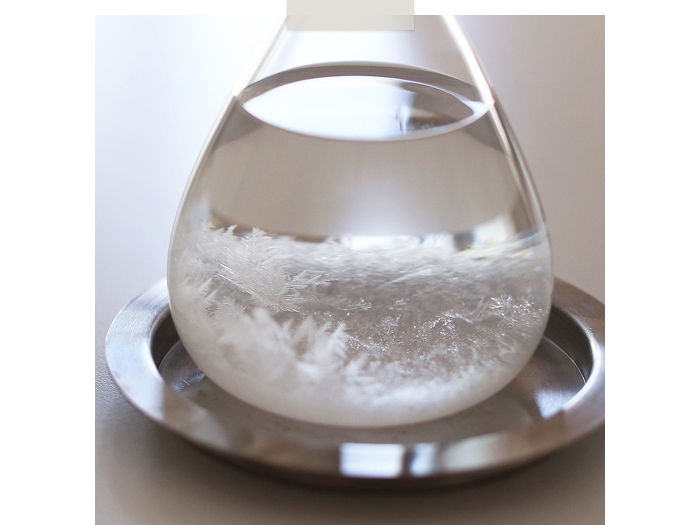 自然の神秘を身近に。雨の日も楽しくなるオブジェの話 ―BOWKNOT河野恵美さん