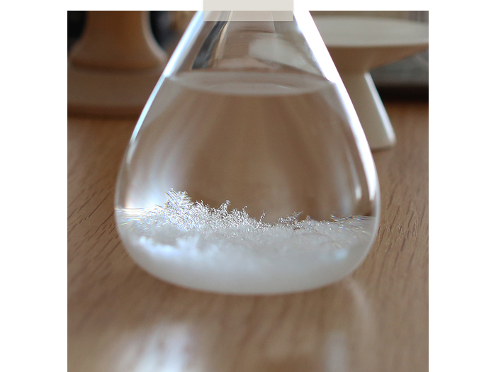 自然の神秘を身近に。雨の日も楽しくなるオブジェの話 ―BOWKNOT河野恵美さん