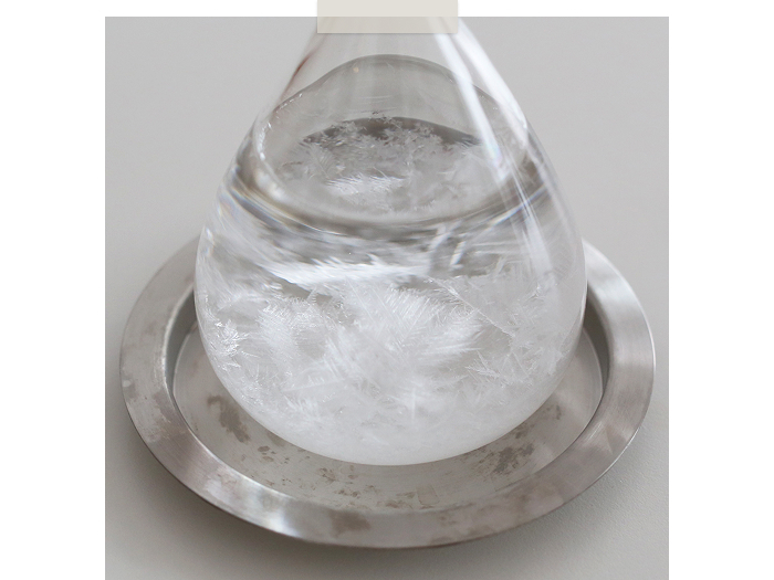 自然の神秘を身近に。雨の日も楽しくなるオブジェの話 ―BOWKNOT河野恵美さん