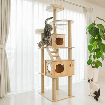 うちの子も喜ぶ♡おしゃれで使えるペット用品集めました