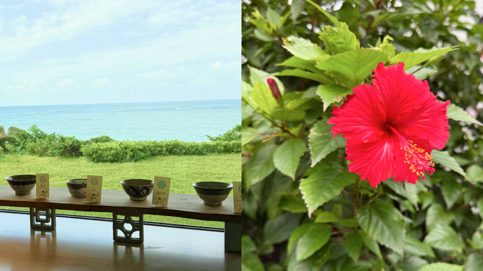 冬の沖縄で“やちむん”探し。器を堪能できる特別なお部屋と海辺の器市へ