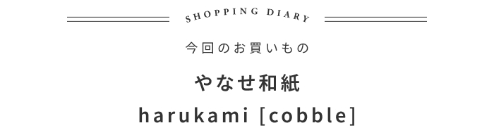 福井の人気店が初登場!心が和む小物入れの話 ―SAVA!STORE 新山直広さん