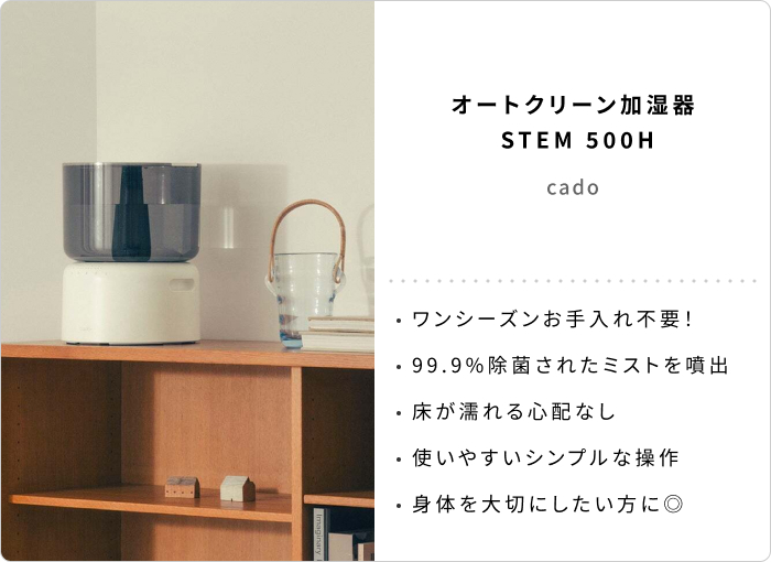 キナリノスタッフの「今年買ってよかったもの」2025【前編】