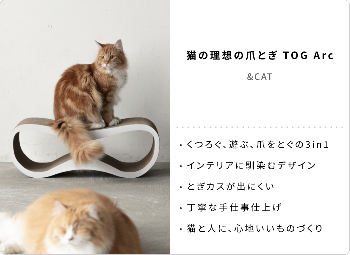 キナリノスタッフの「今年買ってよかったもの」2025【後編】