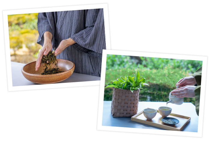 茶摘みの後には、自身で摘んだ茶葉を手揉みして試飲を。採れたての茶葉を手揉みすることで、製茶の難しさをしみじみと実感できるはず。時間をかけて丁寧に手揉みし自分で製茶したお茶を、茶畑を眺めながらゆっくりと味わえます。お茶に精通したスタッフがサポートするので、初心者でもスムーズに体験できますよ。