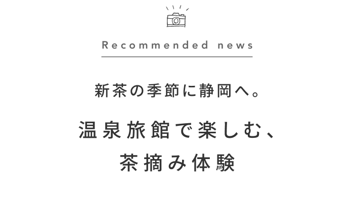 《今週の旅だより》静岡の茶畑で、自分だけの一杯を淹れよう