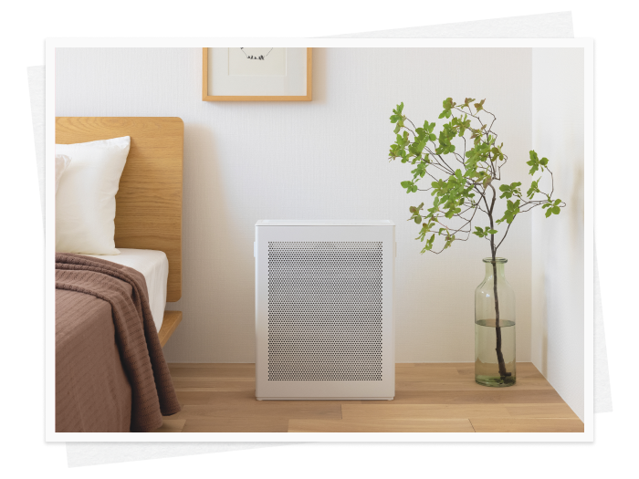 ゆらぎやすい季節に。風邪・花粉の時期におすすめのアイテム