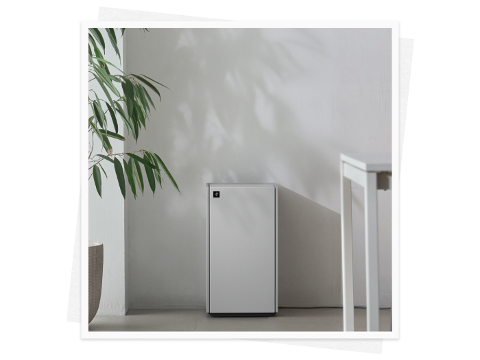 ゆらぎやすい季節に。風邪・花粉の時期におすすめのアイテム