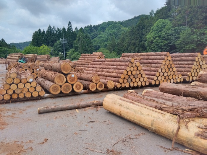 〈木のある暮らし〉が地域を支える。 未来をちょっとよくするヒント