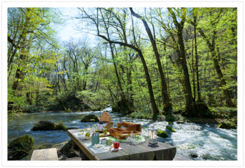 奥入瀬渓流では、4月下旬から5月中旬にかけて、100種類以上の落葉広葉樹が一斉に芽吹き、木々にグラデーションが生まれます。奥入瀬渓流の自然をこよなく愛する渓流コンシェルジュが、その日一番美しい芽吹きが見える場所へ案内。渓流のせせらぎと、木々が芽吹く様子を間近に感じながら、特等席でランチを楽しめます。