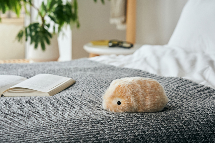 人とふれあうことで感情が育つ。新しいペット『Moflin』との生活