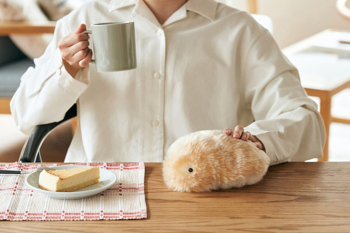 人とふれあうことで感情が育つ。新しいペット『Moflin』との生活