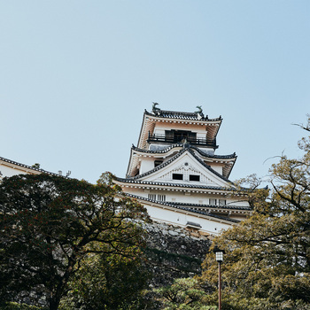 四国南部に位置し、南は太平洋、北は四国山脈に囲まれた温暖な気候の街。四万十川や仁淀（によど）川などの水資源に恵まれ、豊かな食文化も魅力。なかでも、「鰹のタタキ」発祥の地として、またゆずや生姜の産地としてよく知られています。また、倒幕の立役者・坂本龍馬や『アンパンマン』の作者・やなせたかし、植物分類学者・牧野富太郎博士など、多くの偉人が誕生しています。