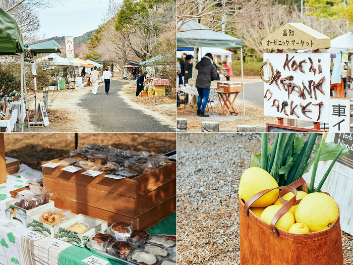 かわいい雑貨店におしゃれなカフェ。心ときめく1泊2日〈高知旅〉