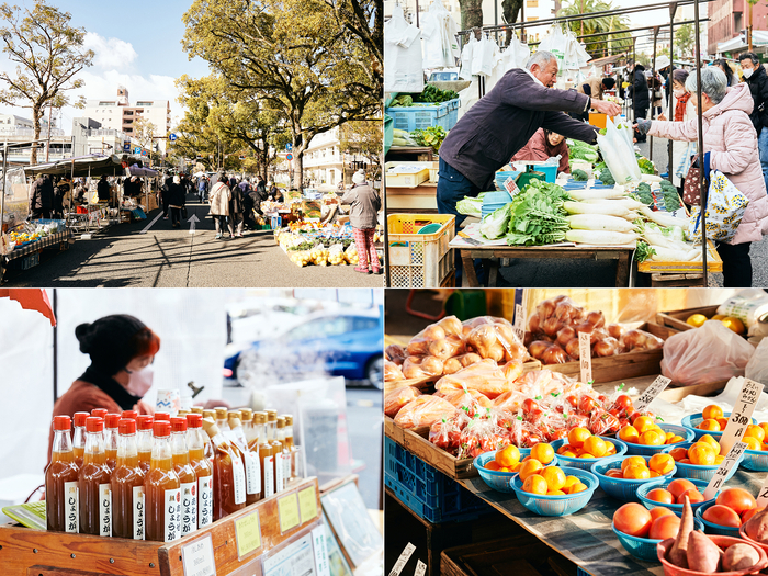 かわいい雑貨店におしゃれなカフェ。心ときめく1泊2日〈高知旅〉