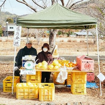 すてきなご夫婦の姿に心もほっこり。販売期間中は県外の発送も可能なので、 自宅に郵送するのもいいですね。
※3月頃までの期間限定店舗