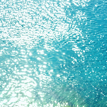 水面に光が差し込むと、宝石のような幻想的な輝きに。観光屋形船も運行しているので、間近でその美しさを体感してみてください。
