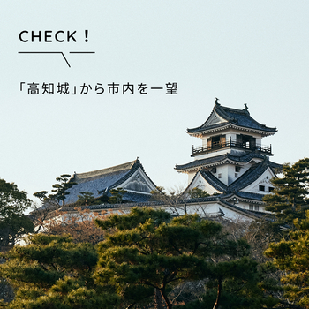 街の象徴でもある「高知城」を巡って、「ひろめ市場」へ訪れるのが旅の定番コース。日本で唯一、本丸の建築群が全て現存している城郭は見応え抜群です。
