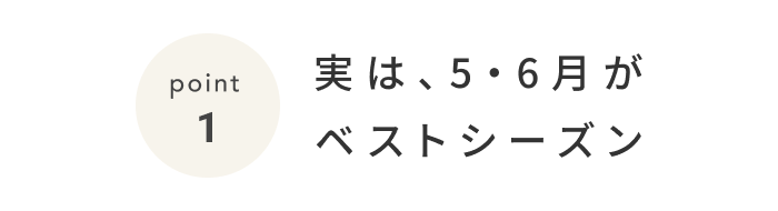 《今週の旅だより》夏本番前の沖縄で、ひと味違う島時間を