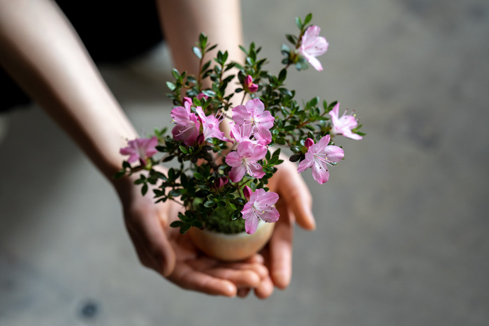 母の日に贈りたいフラワーギフト【いつ届く？お届け方法もチェック】