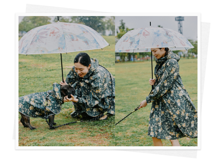 雨の季節を快適に。 機能美で選ぶ、梅雨じたく