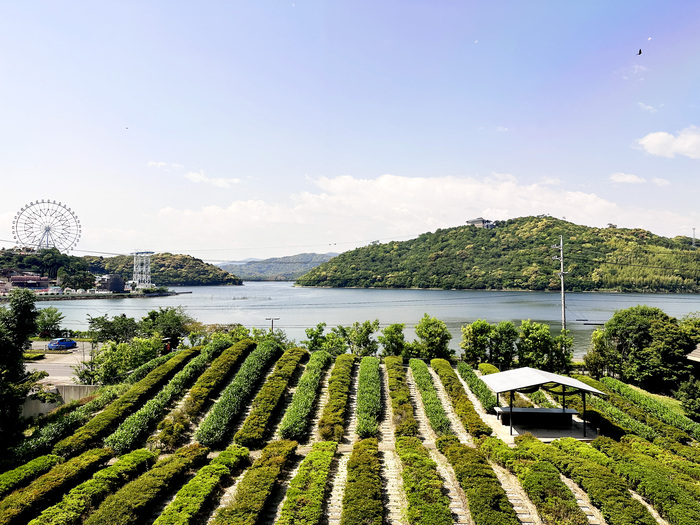 初夏の静岡で“お茶”しませんか？茶摘みに温泉、美食……お茶尽くしの旅