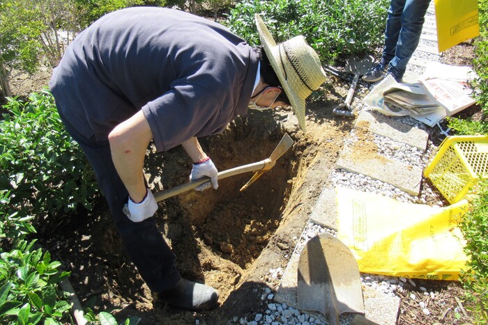 初夏の静岡で“お茶”しませんか？茶摘みに温泉、美食……お茶尽くしの旅