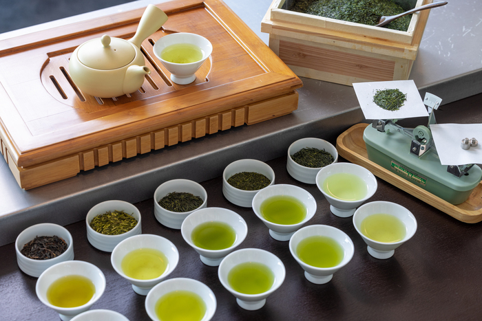 初夏の静岡で“お茶”しませんか？茶摘みに温泉、美食……お茶尽くしの旅