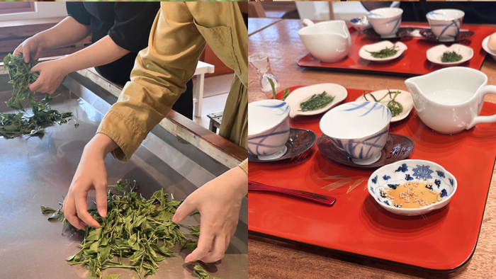 初夏の静岡で“お茶”しませんか？茶摘みに温泉、美食……お茶尽くしの旅