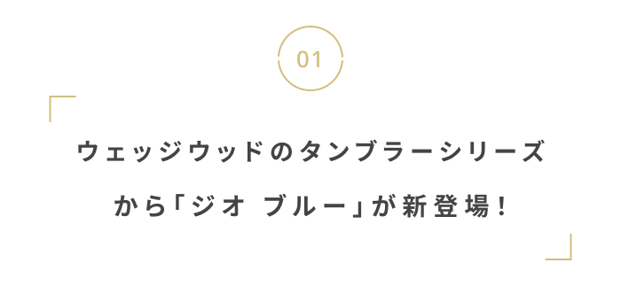今から夏に備えよう。
猛暑を乗り切る暑さ・UV対策